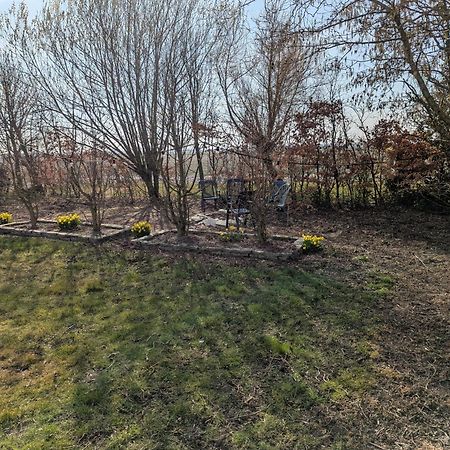 Villa The Tulip Julia Julianadorp Zewnętrze zdjęcie