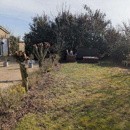Villa The Tulip Julia Julianadorp Zewnętrze zdjęcie